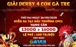 Giải Derby 4 Con Gà Tre Tại CPC1 Ngày 26/05/2025