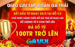 Giao Lưu Gà Thái Tại Bồ CPC3 Ngày 25/05/2025