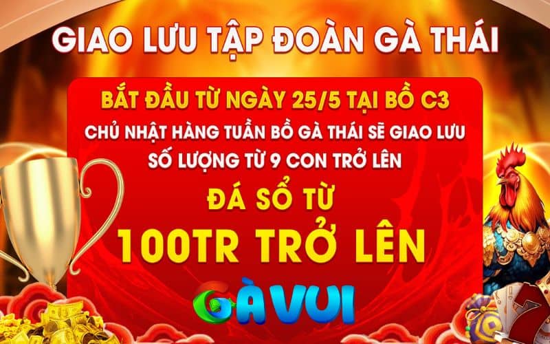 Giao Lưu Gà Thái Tại Bồ CPC3 Ngày 25/05/2025 Giao Lưu Gà Thái Tại Bồ CPC3 Ngày 25/05/2025