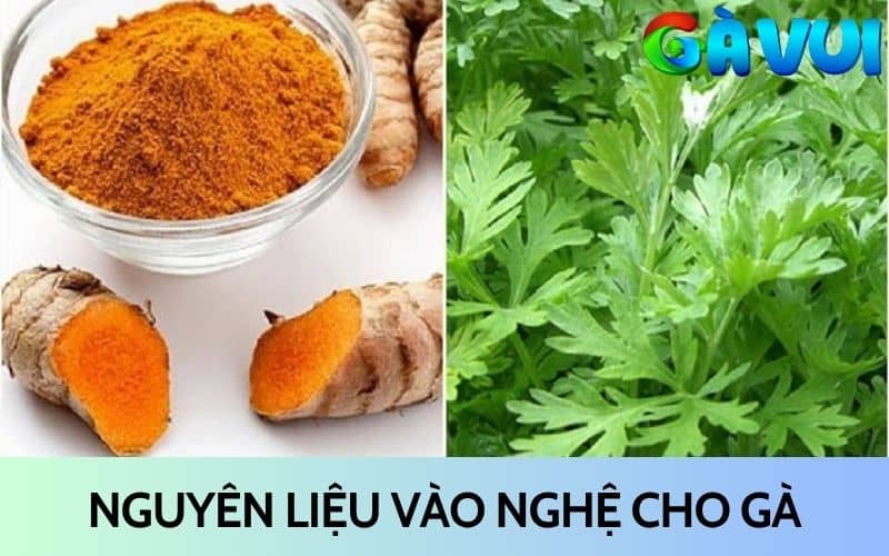 Nguyên liệu chính để vào nghệ cho gà chọi Nguyên liệu chính để vào nghệ cho gà chọi