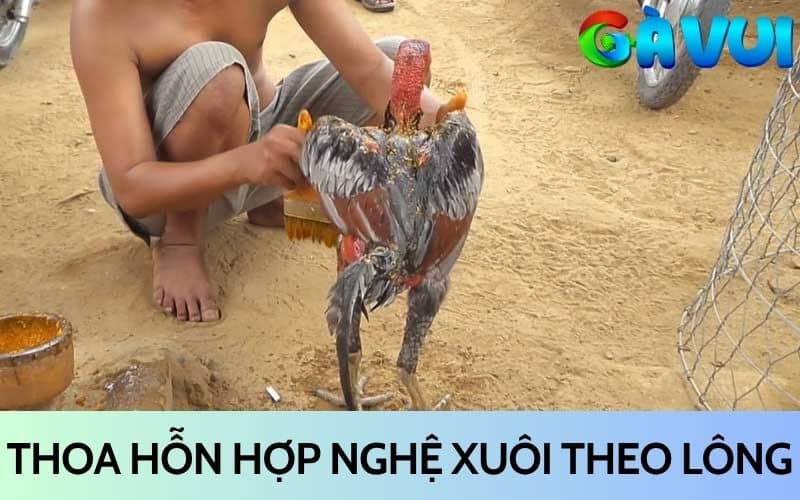 Thoa hỗn hợp nghệ xuôi theo lông và nhẹ nhàng Thoa hỗn hợp nghệ xuôi theo lông và nhẹ nhàng