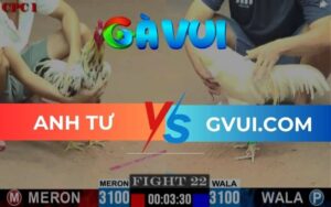 Trận 22 CPC1 Ngày 24/05/2025 – Bướm Đè Bạc, Gà Úa Lọt Chân Bỏ Chạy