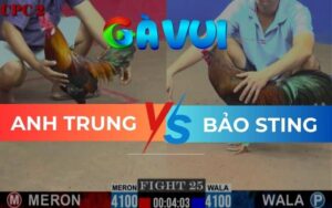 Trận 25 CPC2 Ngày 23/05/2025 – Cân Tài Cân Sức, Que Và Điều Hòa Nhau