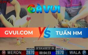 Trận 9 CPC1 Ngày 22/05/2025 – Bướm Siết Cây Lưng Khiến Gà Đối Thủ Xỉu Nhanh