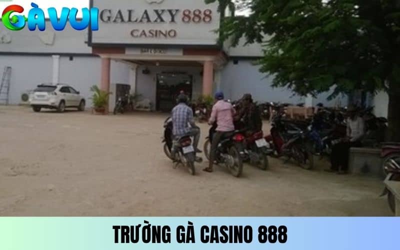 Trường gà Casino 888 thường xuyên tổ chức giải đấu lớn Trường gà Casino 888 thường xuyên tổ chức giải đấu lớn