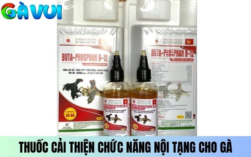Buta-Phosphan giúp cải thiện chức năng nội tạng cho gà Buta-Phosphan giúp cải thiện chức năng nội tạng cho gà