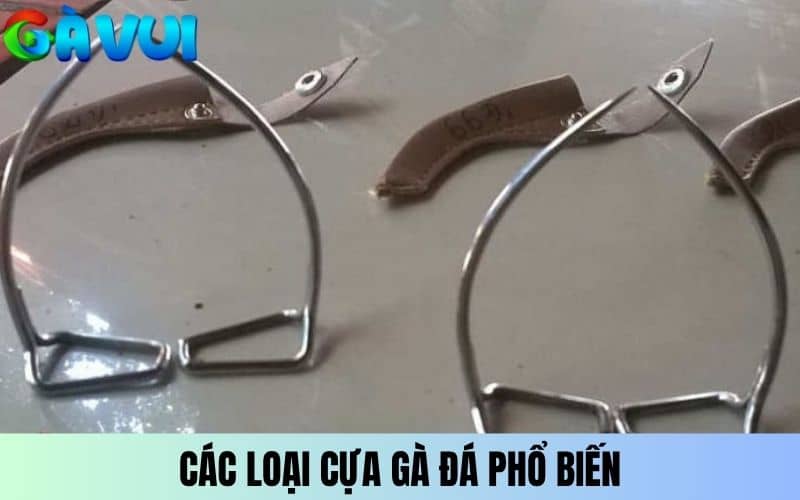 Các loại cựa gà đá phổ biến hiện nay Các loại cựa gà đá phổ biến hiện nay