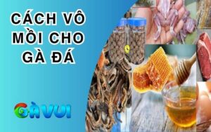 Cách Vô Mồi Cho Gà Đá