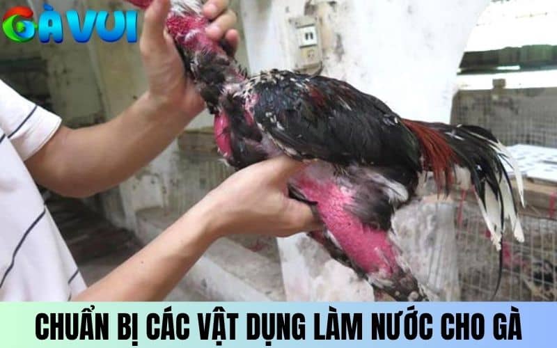 Chuẩn bị các vật dụng để làm nước cho gà chọi Chuẩn bị các vật dụng để làm nước cho gà chọi