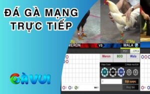 Đá Gà Mạng Trực Tiếp