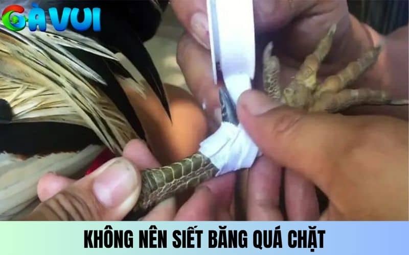 Không nên siết băng quá chặt hoặc lỏng khi băng cựa Không nên siết băng quá chặt hoặc lỏng khi băng cựa