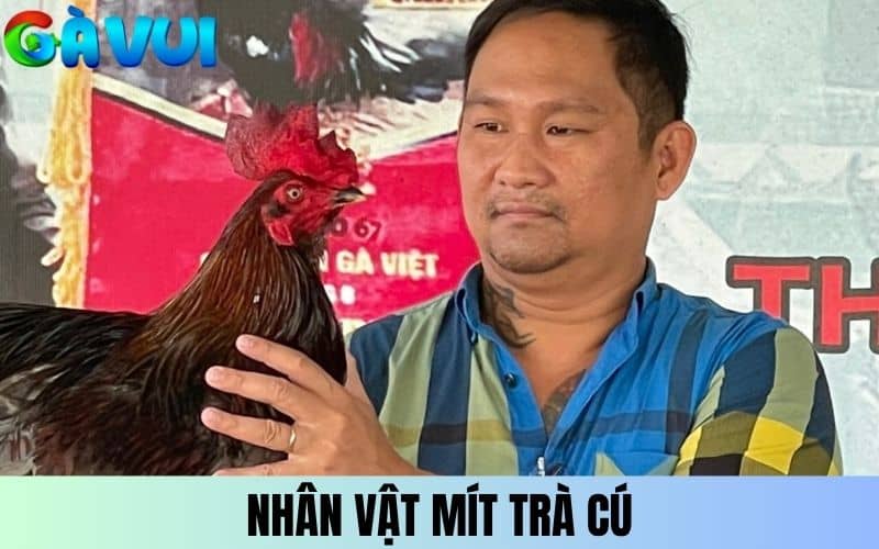 Mít Trà Cú là nhân vật còn lại trong trận đá gà 24 tỷ Mít Trà Cú là nhân vật còn lại trong trận đá gà 24 tỷ