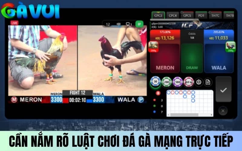 Nắm rõ luật chơi đá gà mạng trực tiếp khi đặt cược Nắm rõ luật chơi đá gà mạng trực tiếp khi đặt cược