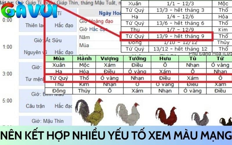 Nên huấn luyện gà đá tốt và kết hợp nhiều yếu tố Nên huấn luyện gà đá tốt và kết hợp nhiều yếu tố