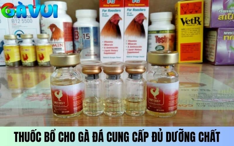 Sử dụng thuốc bổ cho gà đá cung cấp đầy đủ dưỡng chất Sử dụng thuốc bổ cho gà đá cung cấp đầy đủ dưỡng chất