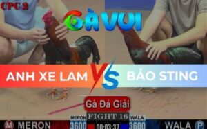 Trận 16 CPC2 Ngày 01/06/2025 – Điều Xanh Đâm Khét Té Tuyệt Đối