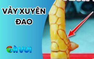vảy xuyên đao