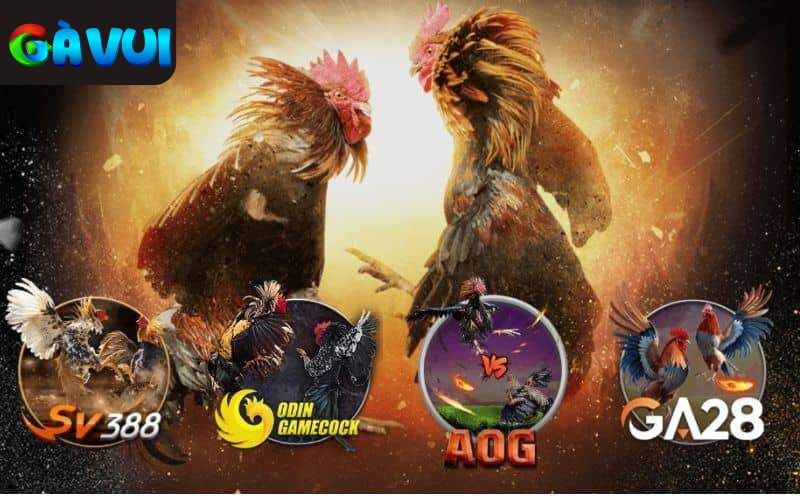 AE888 hợp tác cùng các sảnh cược đá gà hàng đầu