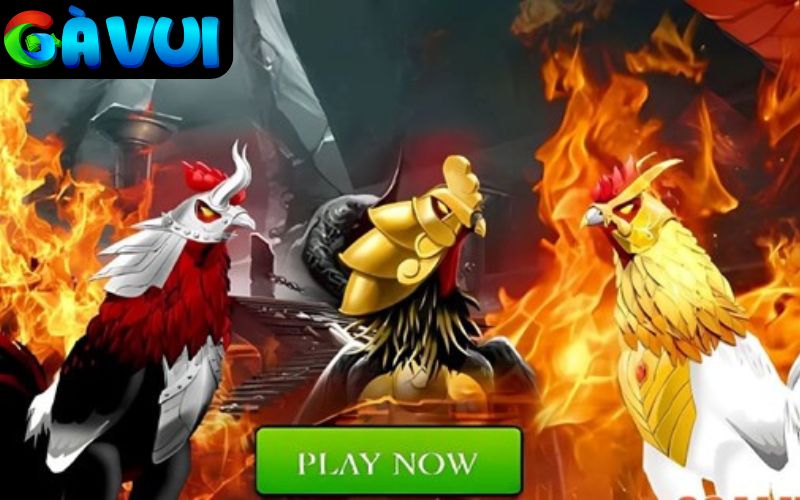 ALO789 tối ưu giao diện đặt cược đá gà giúp mọi người chơi thao tác dễ dàng